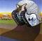 Avatar de Tarkus