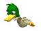 Avatar de canard