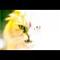 Avatar de yann_kessel
